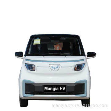 2022 New car for sale Mini two seat electric new energy vehicle High quality adult electric vehicle Wuling Nano EV made in China